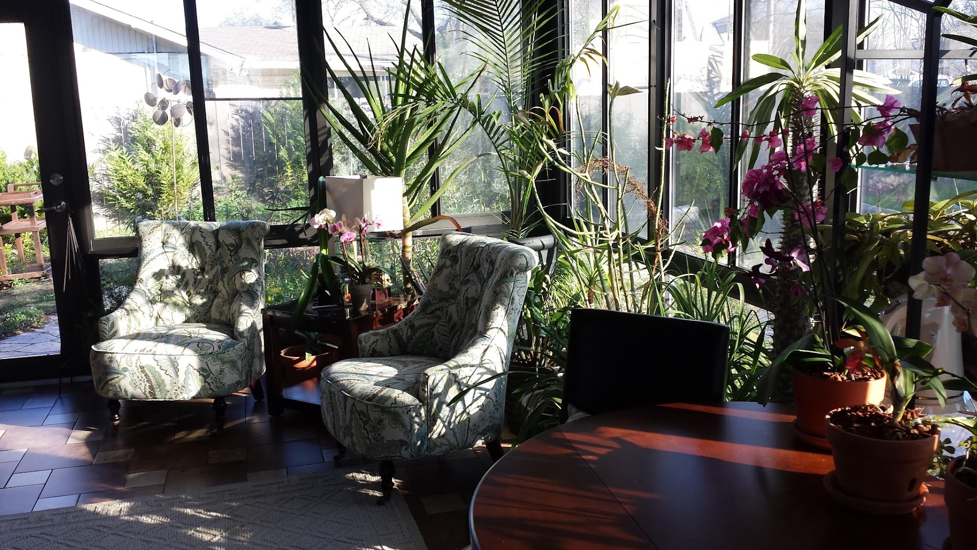 Light Touch Aesthetics, PLLC