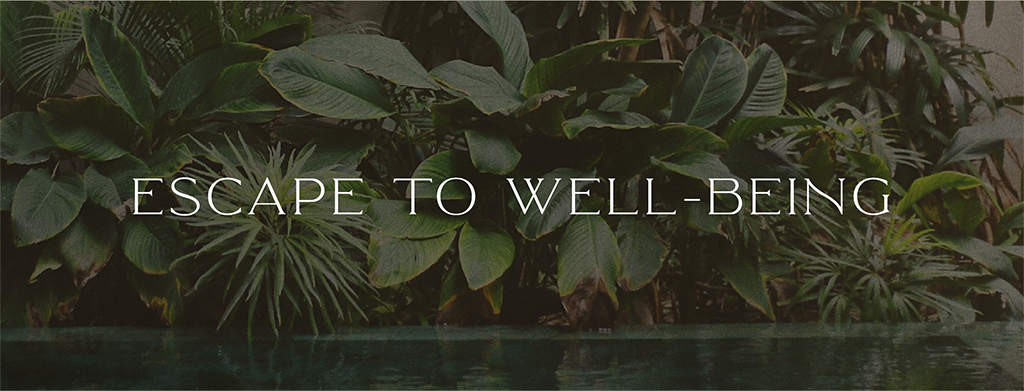 Tulum Wellness Spa
